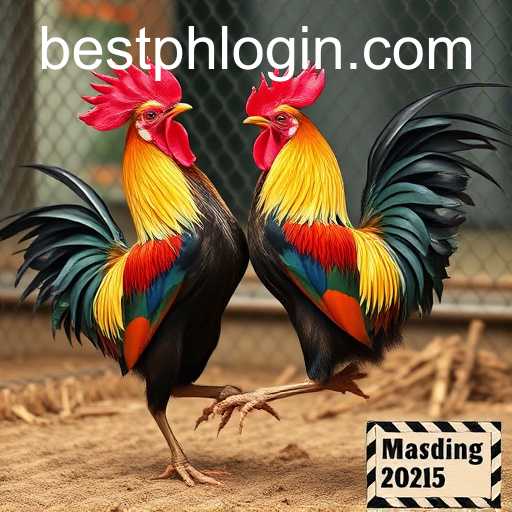 Exploring the Thrilling World of Sabong Games - BestPH.com